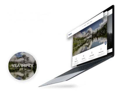 VEA Impex Web Mockup